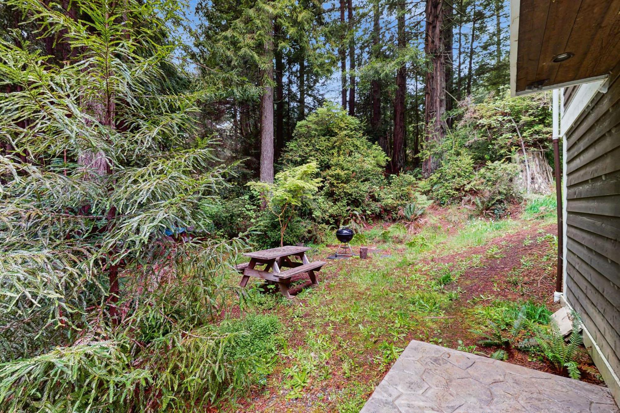 Serene Redwood Retreat Арката Экстерьер фото