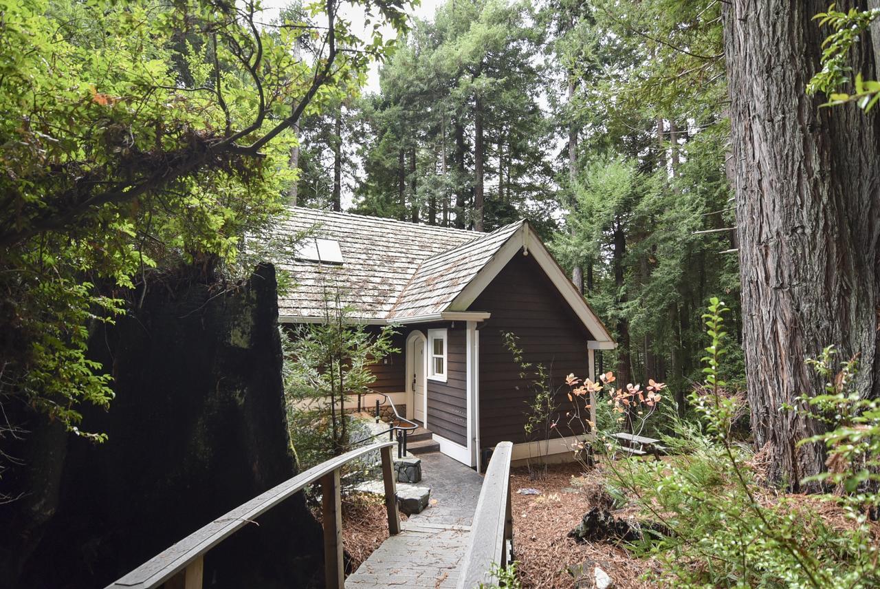 Serene Redwood Retreat Арката Экстерьер фото