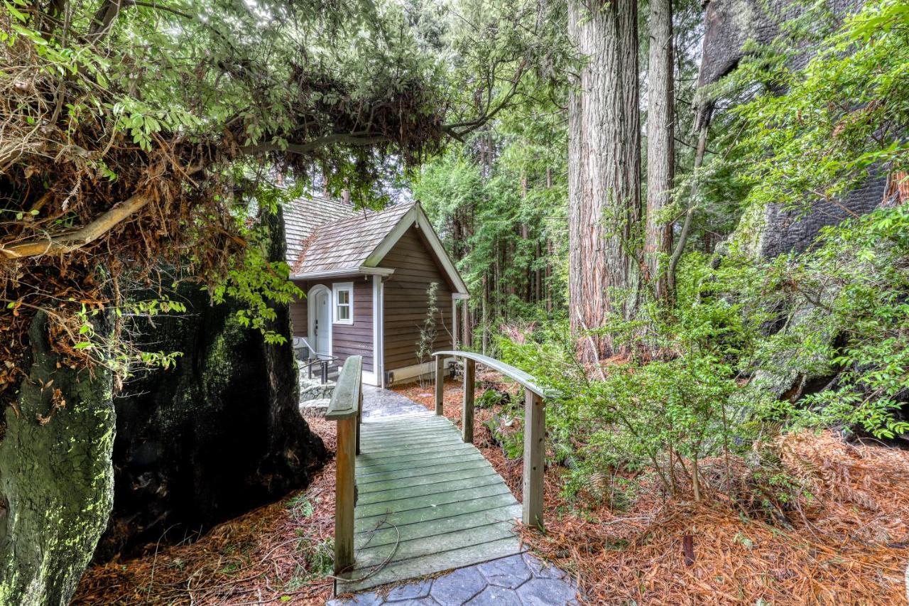 Serene Redwood Retreat Арката Экстерьер фото